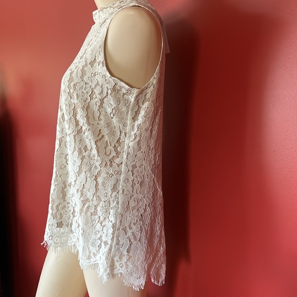 New Rose + Olive gorgeous lace top - Picture 5 of 16